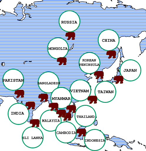 Understanding Asian Bears to Secure Their Future - Country Report